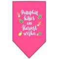 Mirage Pet Products Pumpkin Kisses Screen Print BandanaBright Pink Large 66-171 LGBPK